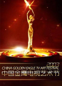 第四届大陆金鹰电视艺术节