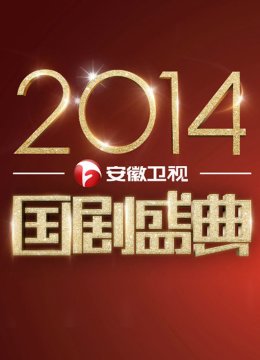 国产盛典2014