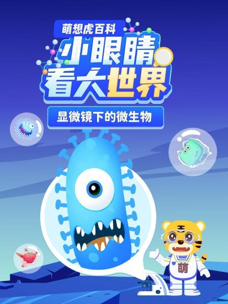 小眼睛看大世界