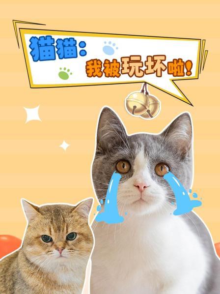 猫猫我被玩坏啦！