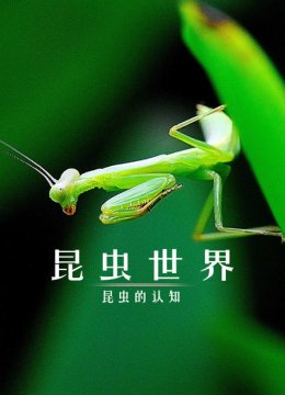 昆虫世界昆虫的认知