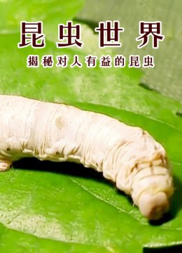 昆虫世界揭秘对人有益的昆虫