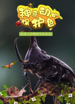 神奇动物保护色