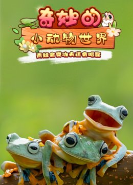 奇妙的小动物世界