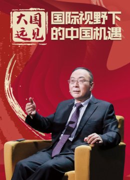 大国远见国际视野下的大陆机遇