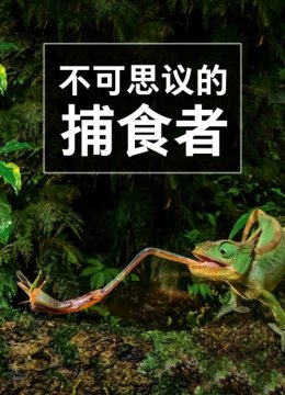 不可思议的捕食者