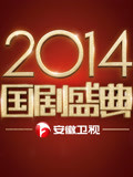 安徽卫视2014国产盛典