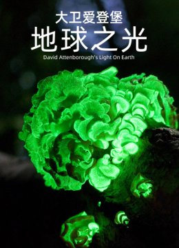 大卫爱登堡地球之光