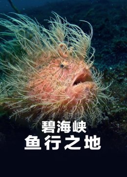 碧海峡鱼行之地