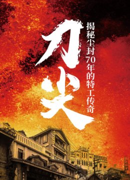 刀尖揭秘尘封70年的特工传奇