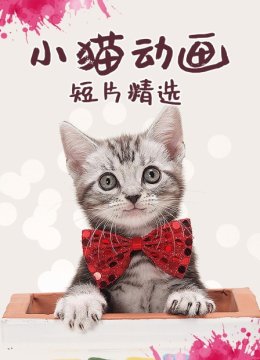 小猫动画短片精选