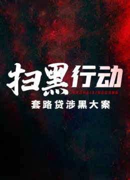 扫黑行动套路贷涉黑大案