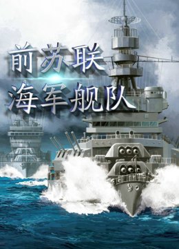前苏联海军舰队