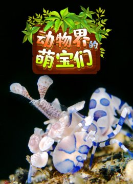 动物界的萌宝们