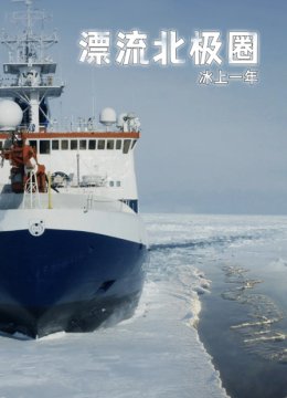 漂流北极圈冰上一年