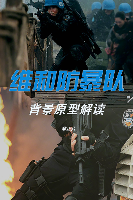 《维和防暴队》背景原型解读非正片