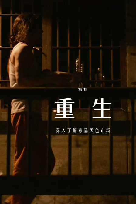 赏析《重生》深入了解毒品黑色市场