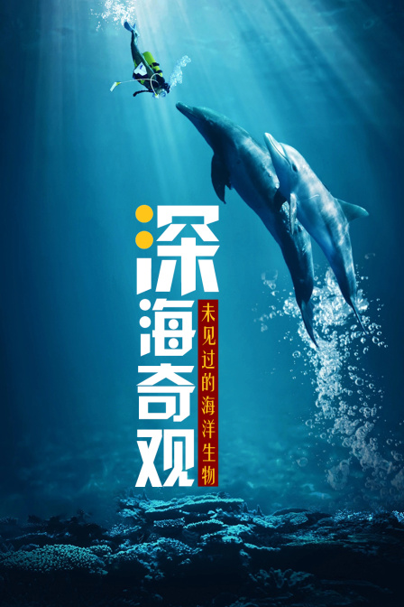 深海奇观未见过的海洋生物