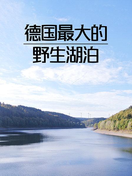 散发着原始气息的河流珍藏着无数奇珍异兽