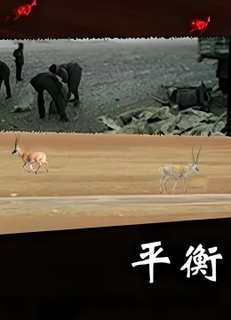 平衡高清修复版