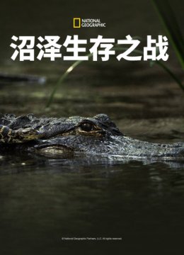 沼泽生存之战