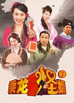 乘龙怪婿第一部