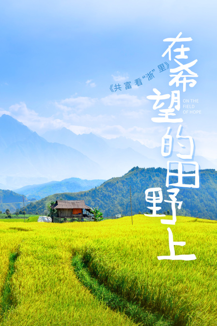 共富看“浙”里——在希望的田野上