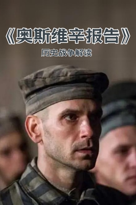 《奥斯维辛报告》历史战争解读