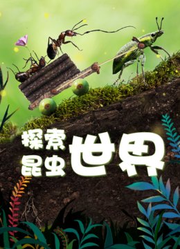 探索昆虫世界