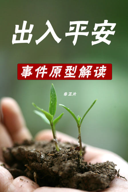 出入平安事件原型解读非正片
