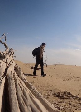 荒野生存持续更新中