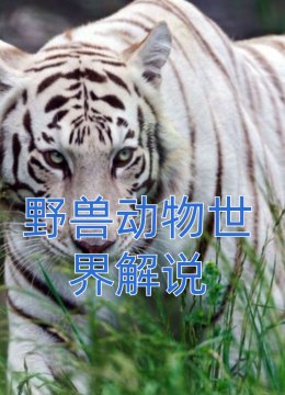 野兽动物世界解说