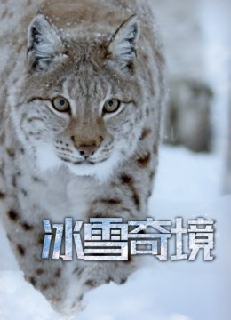 冰雪奇境