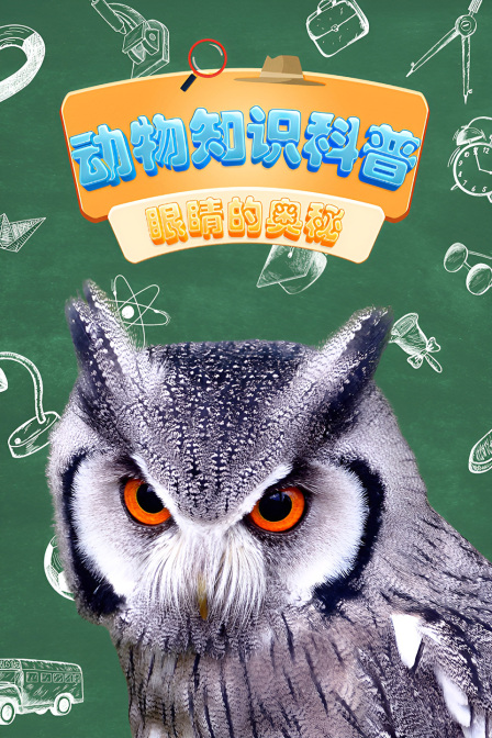 动物知识科普眼睛的奥秘