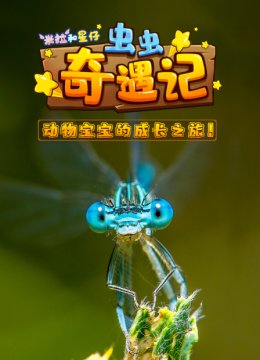 虫虫奇遇记
