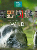荒野间谍第2季