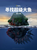 寻找超级大鱼第6季