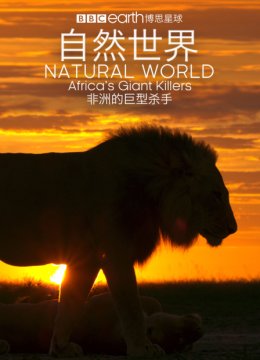 自然世界非洲的巨型杀手