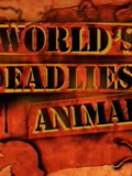 世界上最致命的动物2
