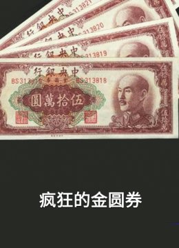 疯狂的金圆券