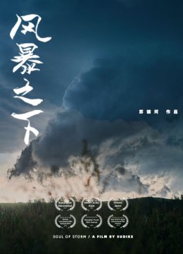风暴之下