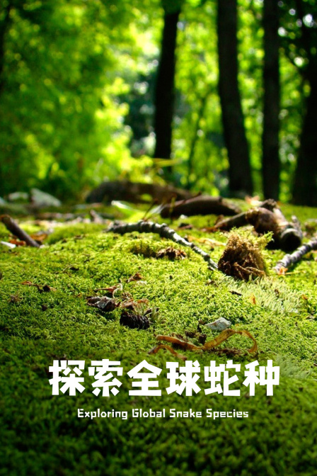 探索全球蛇种