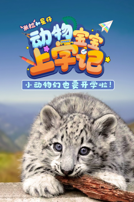动物宝宝上学记