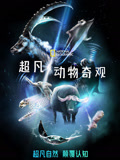 超凡动物奇观国语版