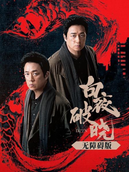 白夜破晓无障碍版