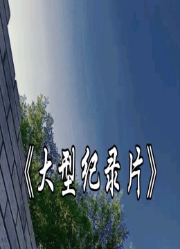 石师傅大型纪录片