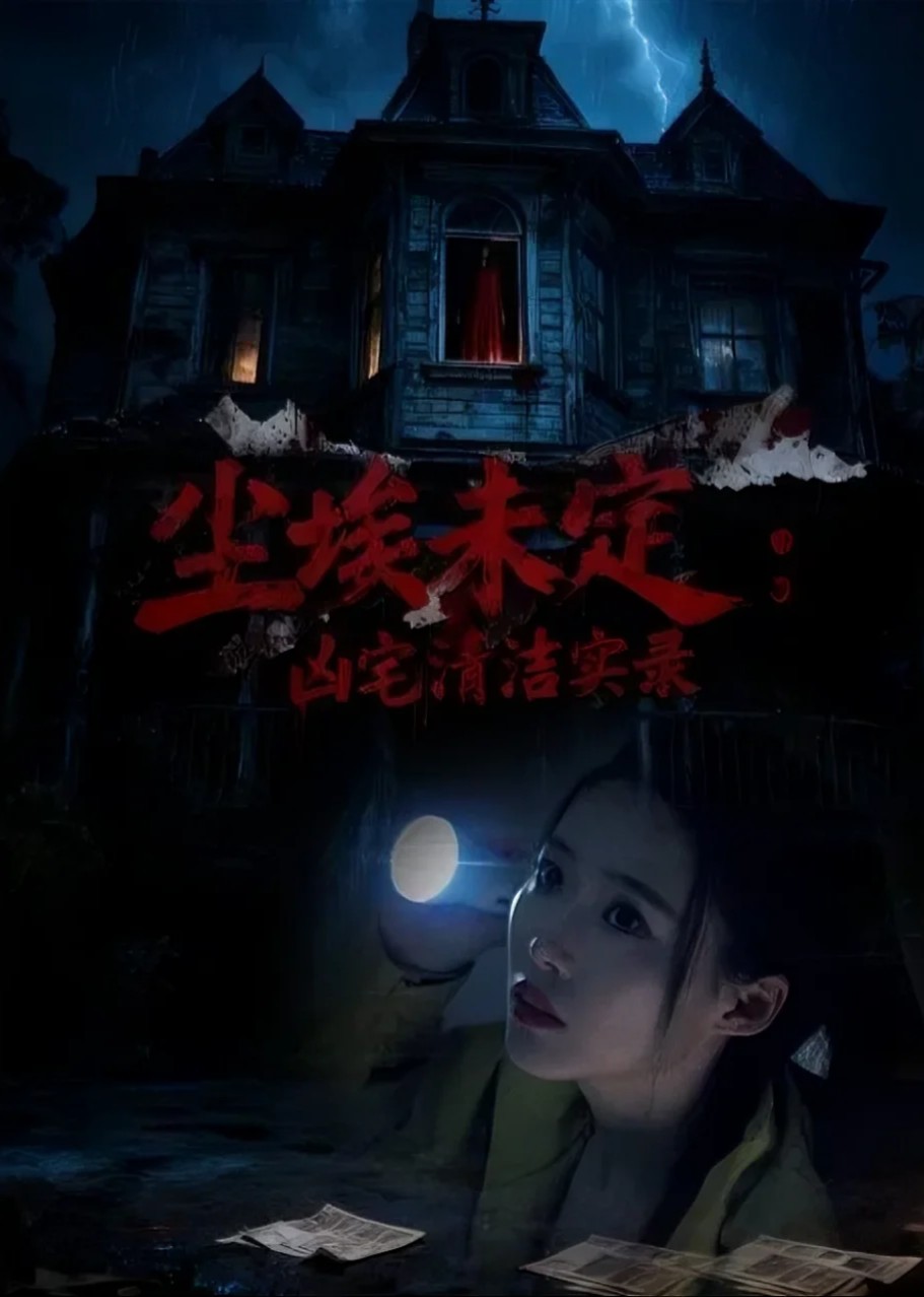 尘埃未定凶宅清洁实录