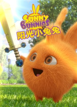 阳光小兔兔