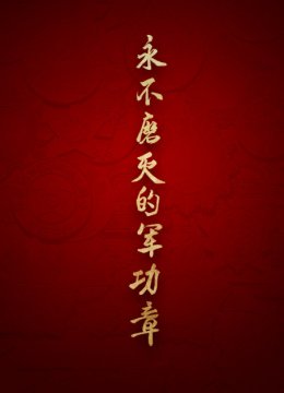 永不磨灭的军功章