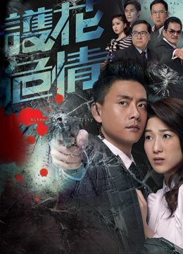 护花危情[粤语版]